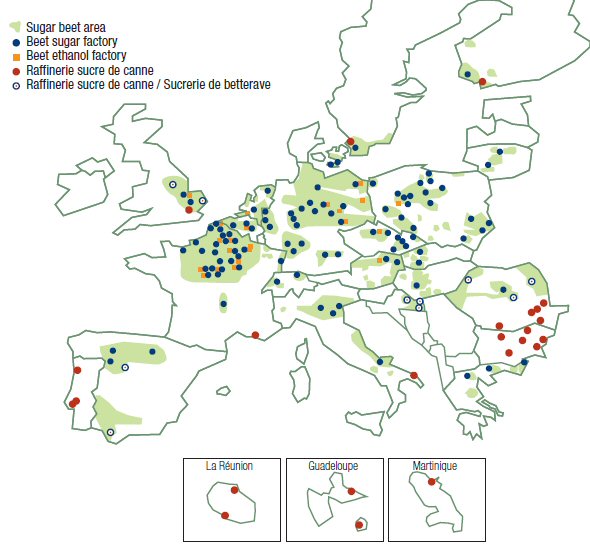 Barbabietola da zucchero in Europa: aree bieticole, zuccherifici e raffinerie 