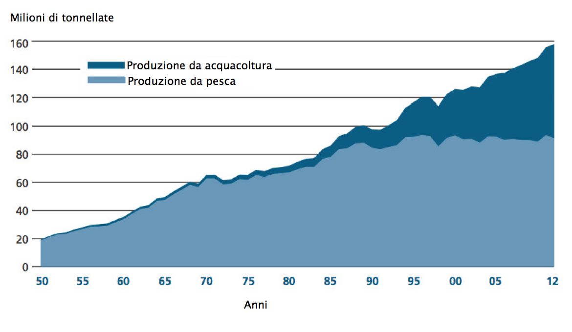 Produzione mondiale di pesce dal 1950 al 2012 