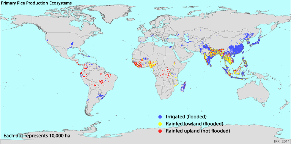 Distribuzione mondiale dei tre piÃ¹ diffusi sistemi di coltivazione del riso 