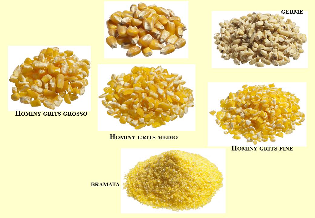 Frazioni ottenute dalla macinazione a secco della granella di mais
