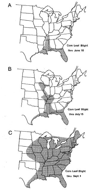 Estensione del patogeno Bipolaris maydis nei campi di mais americani nel 1970 