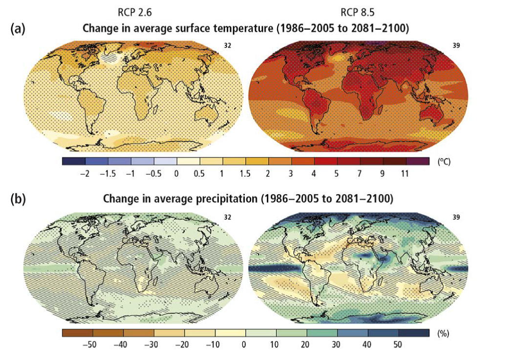 Proiezioni temperature e precipitazione su scala globale
