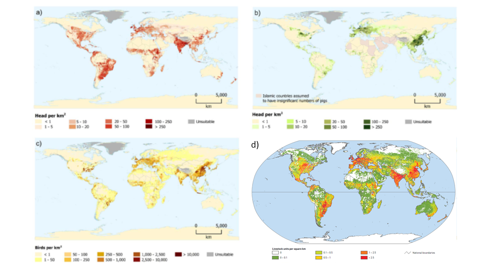 Distribuzione mondiale di bovini (a), suini (b), pollame (c) (Fonte: Robinson et al., 2014) e aggregata di bovini, suini, pollame e piccoli ruminanti (d) 
