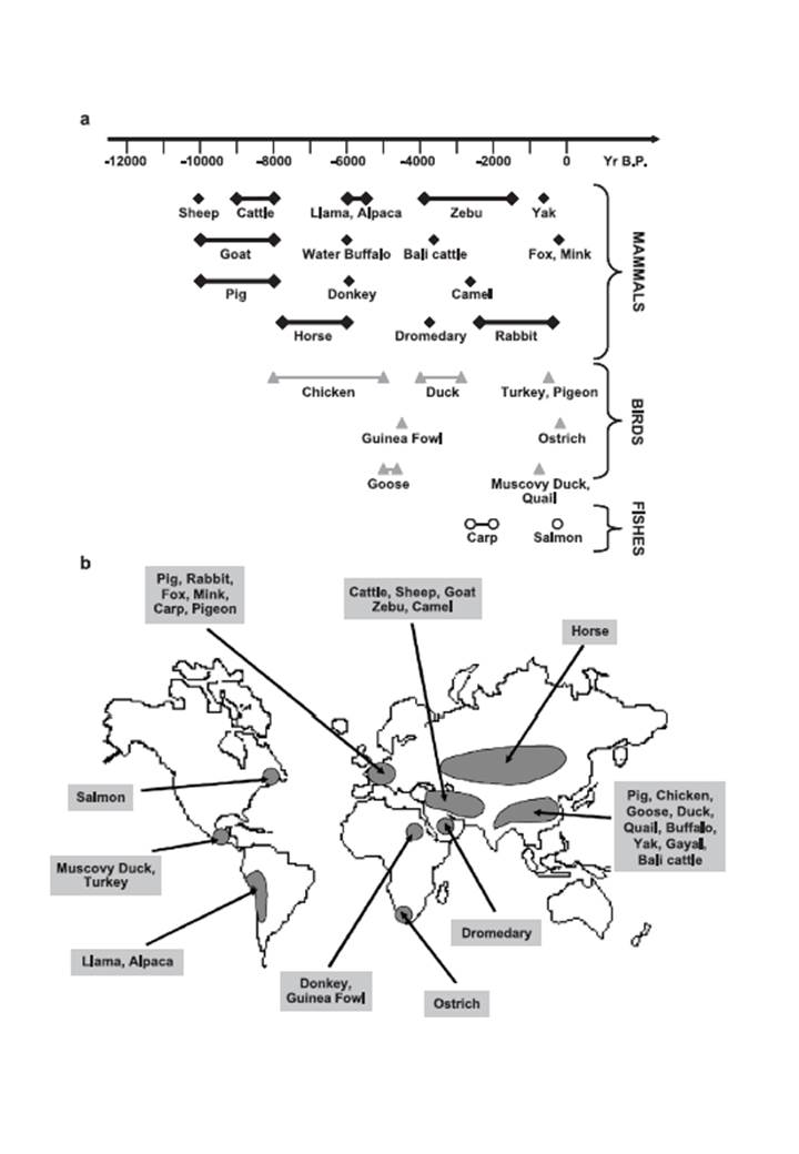 Cronologia (a) e localizzazione (b) della domesticazione delle principali specie di interesse zootecnico