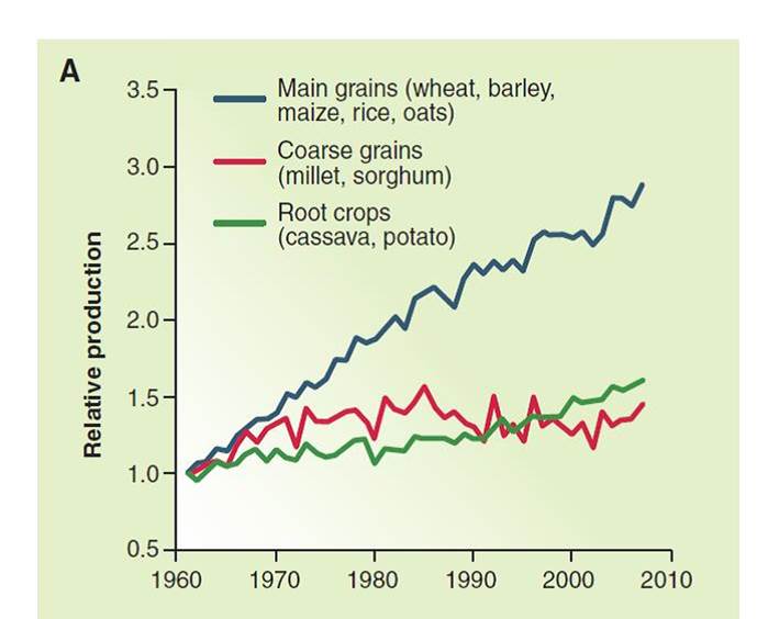 Aumento della produzione delle maggiori colture negli ultimi 50 anni.