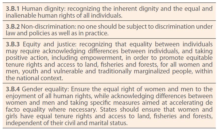 Principi per la promozione dell'equità e uguaglianza di genere nell'accesso alla terra