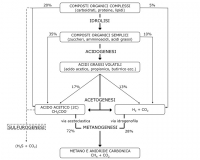 62 - Biogas da matrici organiche