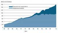 144 - L'allevamento del pesce: un'importante risorsa alimentare