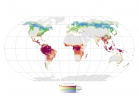 150 - Lo stato delle foreste nel mondo